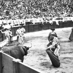 En la plaza, un toro bravo se prepara para la cornada. Joselito el gallo, con su traje de luces, se enfrenta al animal ante una multitud expectante.
