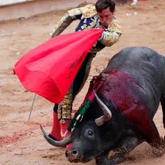 Un torero con traje de luces se enfrenta a un toro ensangrentado, evocando el origen de la tauromaquia.
