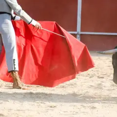 Torero con capote rojo se enfrenta a un toro bravo, evocando la tradición de los encierros más antiguos de España.