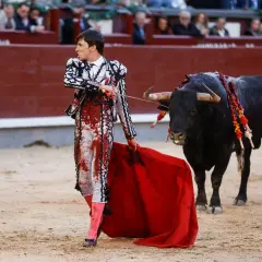 Un torero, con traje de luces manchado de sangre, se enfrenta a un toro bravo. Es una escena de **que es la tauromaquia en España**, un arte controvertido.