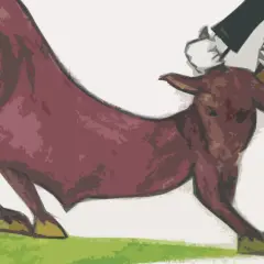 Toro bravo en la arena, con sus expresivas expresiones taurinas, listo para la faena.