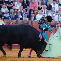 Un torero se enfrenta a un toro bravo en la arena, con el público observando. Los toros del torero son el centro de atención.