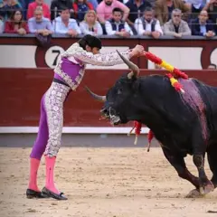 David Adalid, banderillero, se enfrenta a un toro bravo en la arena.