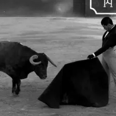 Un torero se prepara para la faena en la plaza, con el toro bravo observando atentamente. Una escena capturada por tendido cero rtve.