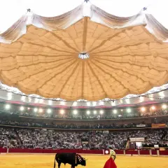 Vista del ruedo y los asientos de la plaza de toros de Zaragoza, con un toro y un torero en la arena, bajo una gran cubierta.