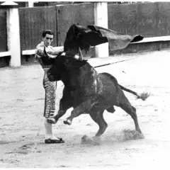 Manolete, en un momento dramático, se enfrenta a la embestida del toro. La capa negra ondea, capturando la tensión de la cornada inminente.