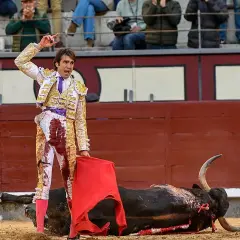 Un torero herido, con su traje manchado de sangre, se alza triunfante sobre un toro caído. La escena evoca la cruda realidad de la muerte torero.