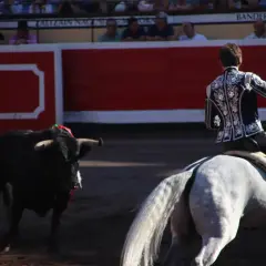 Un torero a caballo se prepara para el lance. El toro, con adornos en la cabeza, espera en la arena. El tendido alto las ventas, lleno de público, observa expectante.
