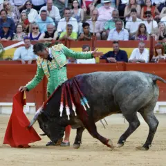 Un torero alicantino, con traje de luces verde, se enfrenta a un toro en la arena. El público observa desde las gradas.