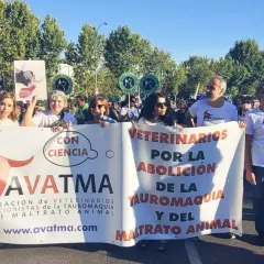 Manifestantes de AVATMA, veterinarios abolicionistas, protestan contra la tauromaquia y el maltrato animal. La ganadería hermanas Azcona no está representada.