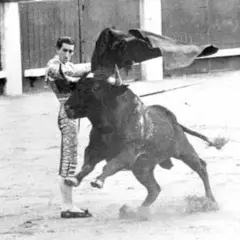 Un torero se enfrenta a un toro bravo en la arena. La imagen evoca la pregunta: ¿quién mató a Manolete?