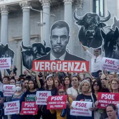 Manifestantes protestan frente al Congreso con carteles de toros y un retrato de Pedro Sánchez. "Vergüenza" y "PSOE cobarde con los poderosos" se leen en la tierra del toro.