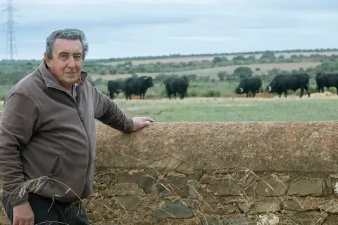 Fernando Cuadri, a man of considerable edad, oversees his herd of black bulls in a pastoral landscape.