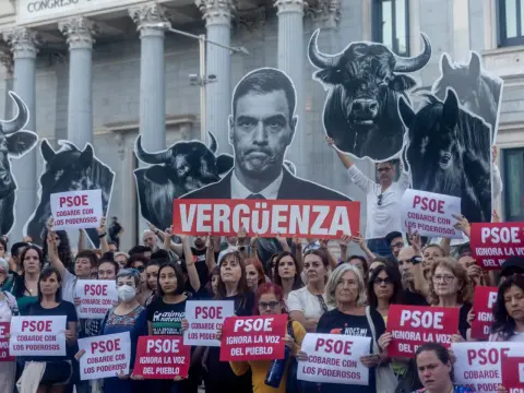 Tierra del Toro - Más allá de la plaza: su cultura y debate