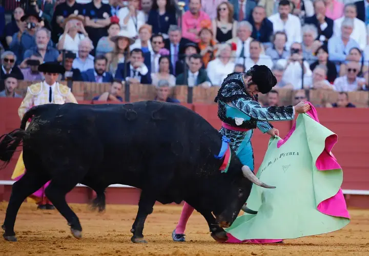 Un torero se enfrenta a un toro bravo en la arena, con el público observando. Los toros del torero son el centro de atención.