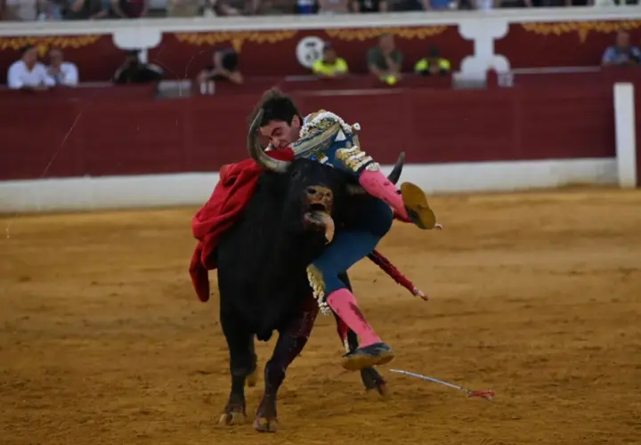 Un torero es embestido por un toro en la arena. El torero, con su traje de luces, cae al suelo, demostrando que una retirada a tiempo es una victoria, significado de prudencia.