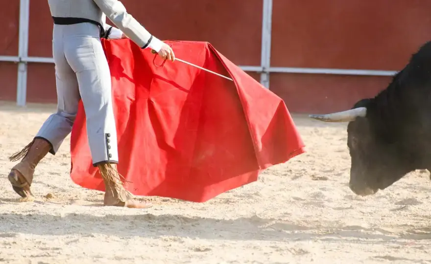 ¿Qué llevan los toreros en la entrepierna? La coquilla al descubierto
