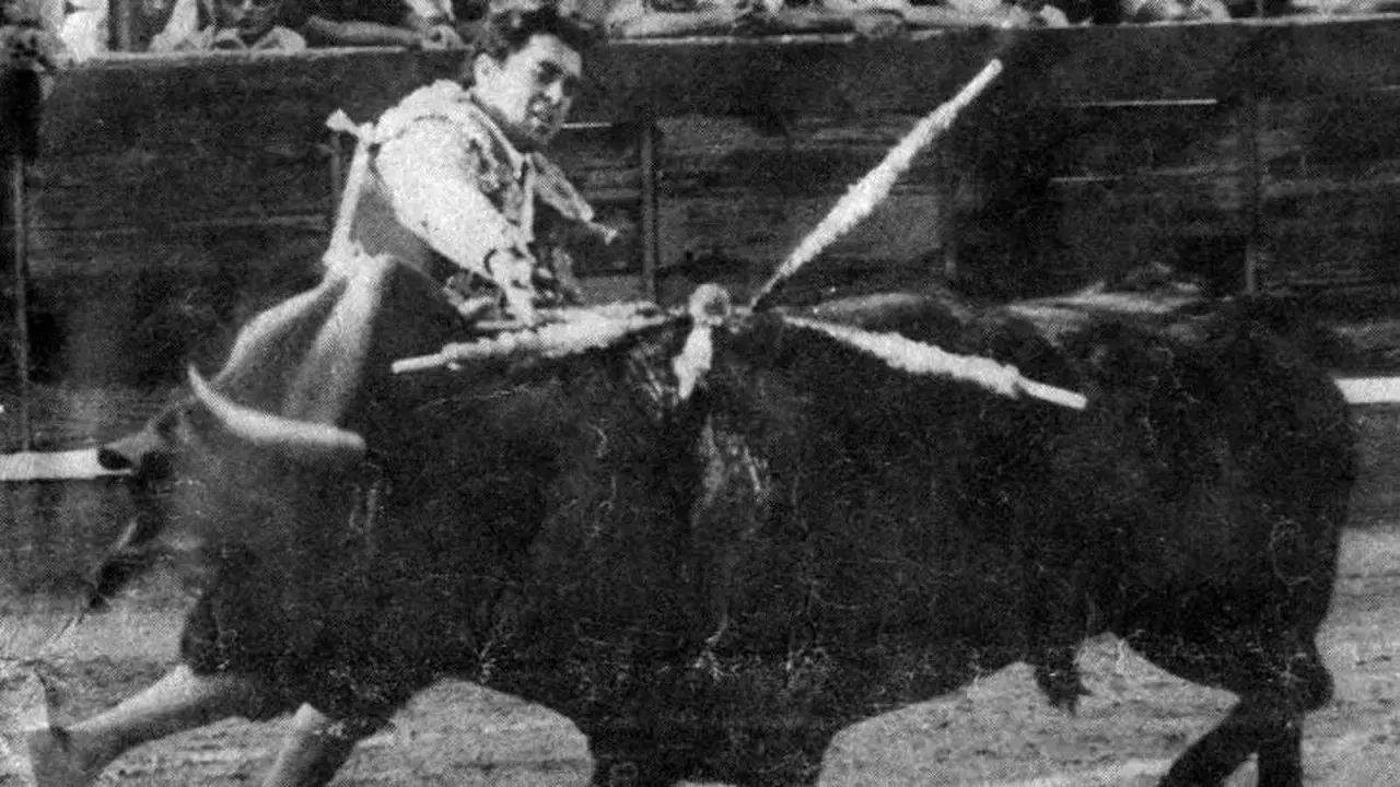 El toro que mató a Paquirri, en la plaza, con las banderillas clavadas.
