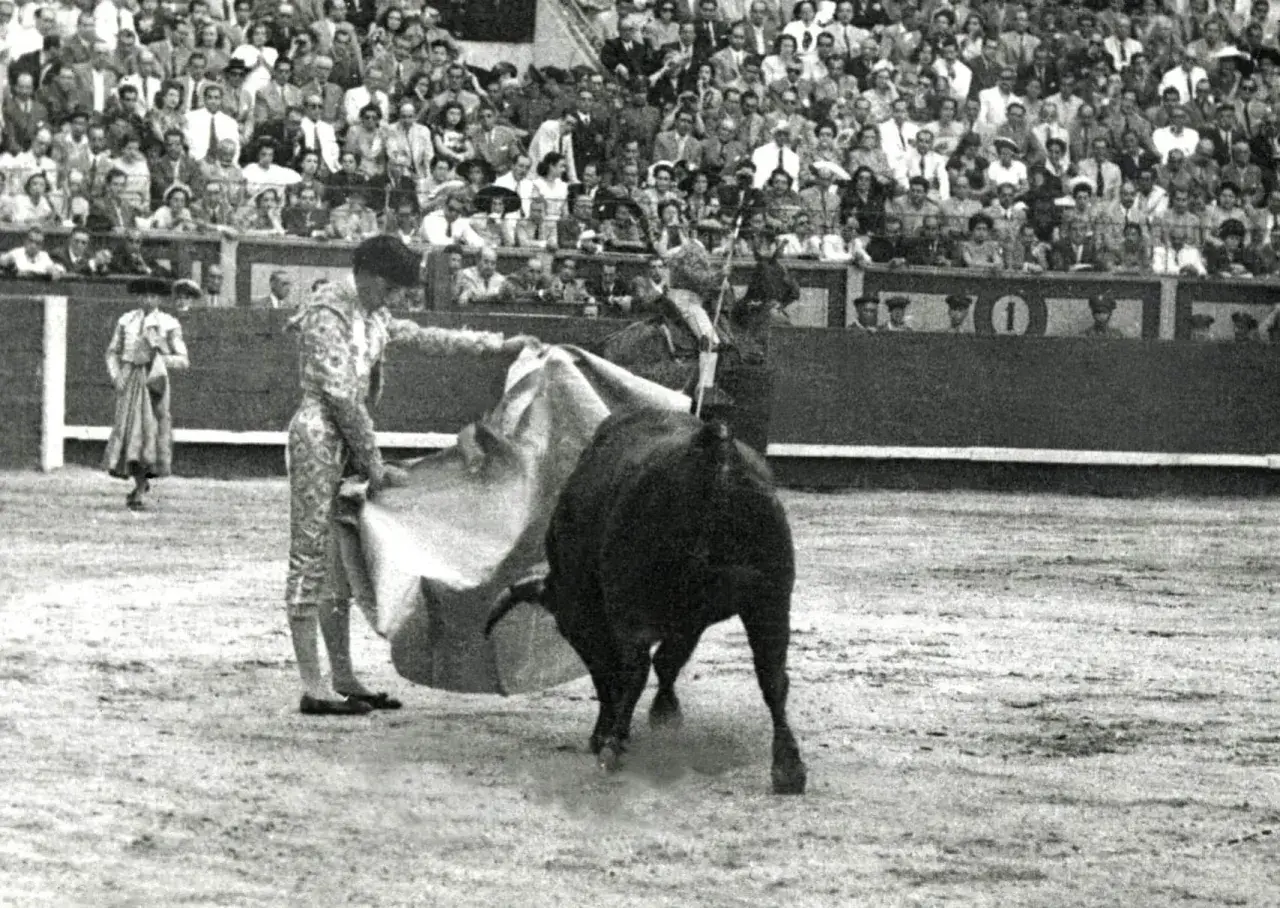 El **toro que mató a Manolete** embiste en la plaza, ante un público expectante.