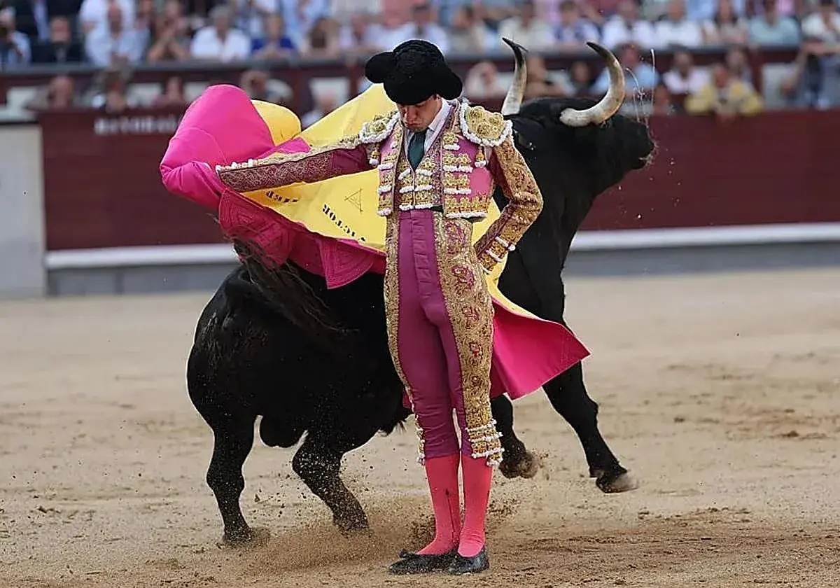 Torero en traje de luces, con capote rosa y amarillo, frente a un toro negro. Se especula cuanto cobra un torero por corrida.
