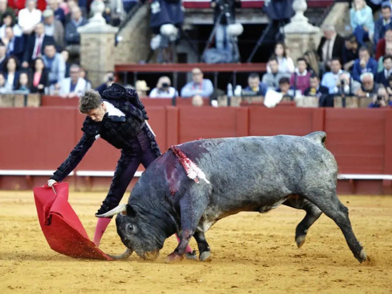 Un torero con traje de luces se enfrenta a un toro bravo en la arena. El público observa desde las gradas.