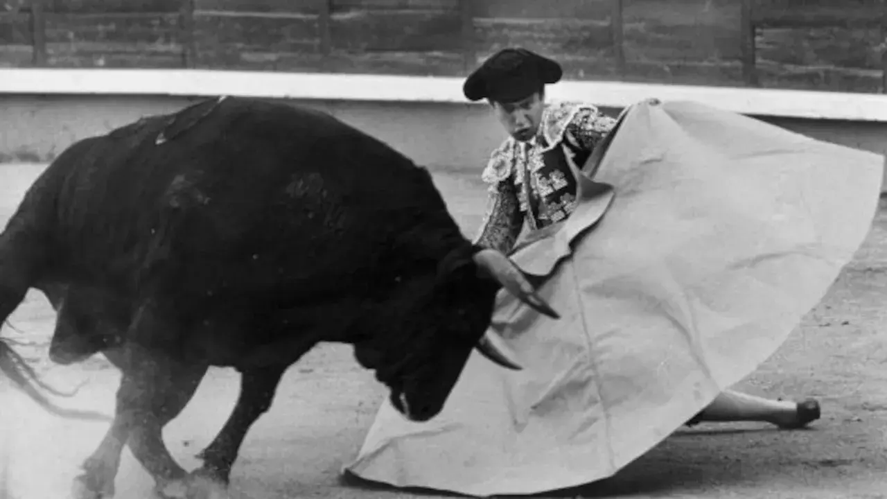 Un torero se enfrenta a un toro bravo en la arena. El toro, que mató a Yiyo, embiste con fuerza.