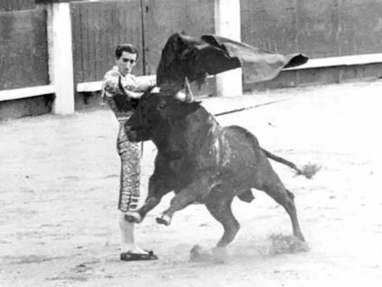 Un torero se enfrenta a un toro bravo en la arena. El toro, que mató a Manolete, embiste con furia.