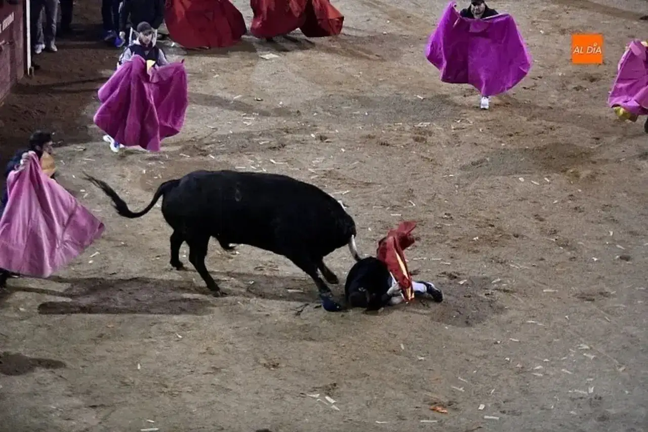 Un toro embiste a un torero caído en la arena. El peligro de la muerte torero es palpable.