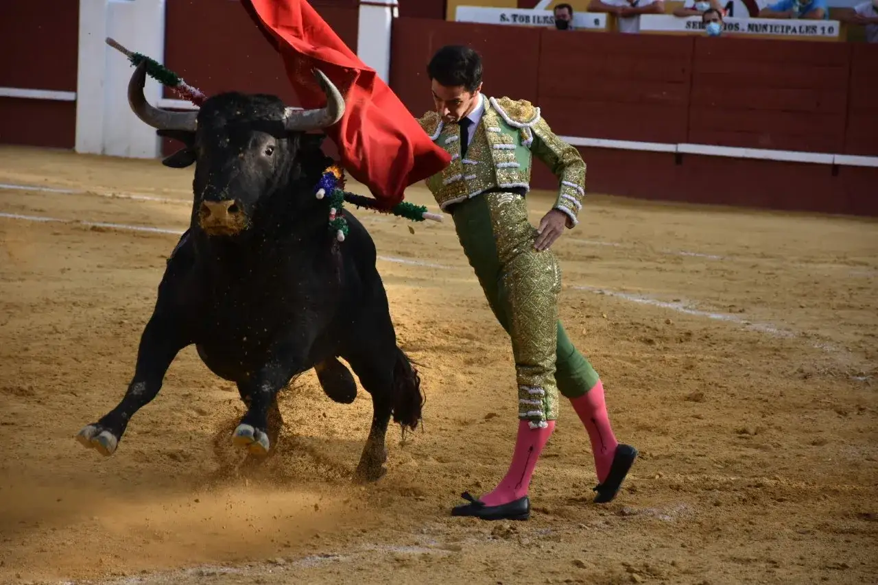 Un torero con traje de luces verdes y doradas se enfrenta a un toro negro en la arena. Las caras de toreros y toros se cruzan en este instante de tensi&oacute;n.