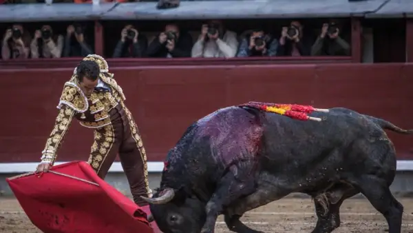 Adolfo Martín hijo, torero, se enfrenta a un toro en la arena. El público observa desde las gradas.